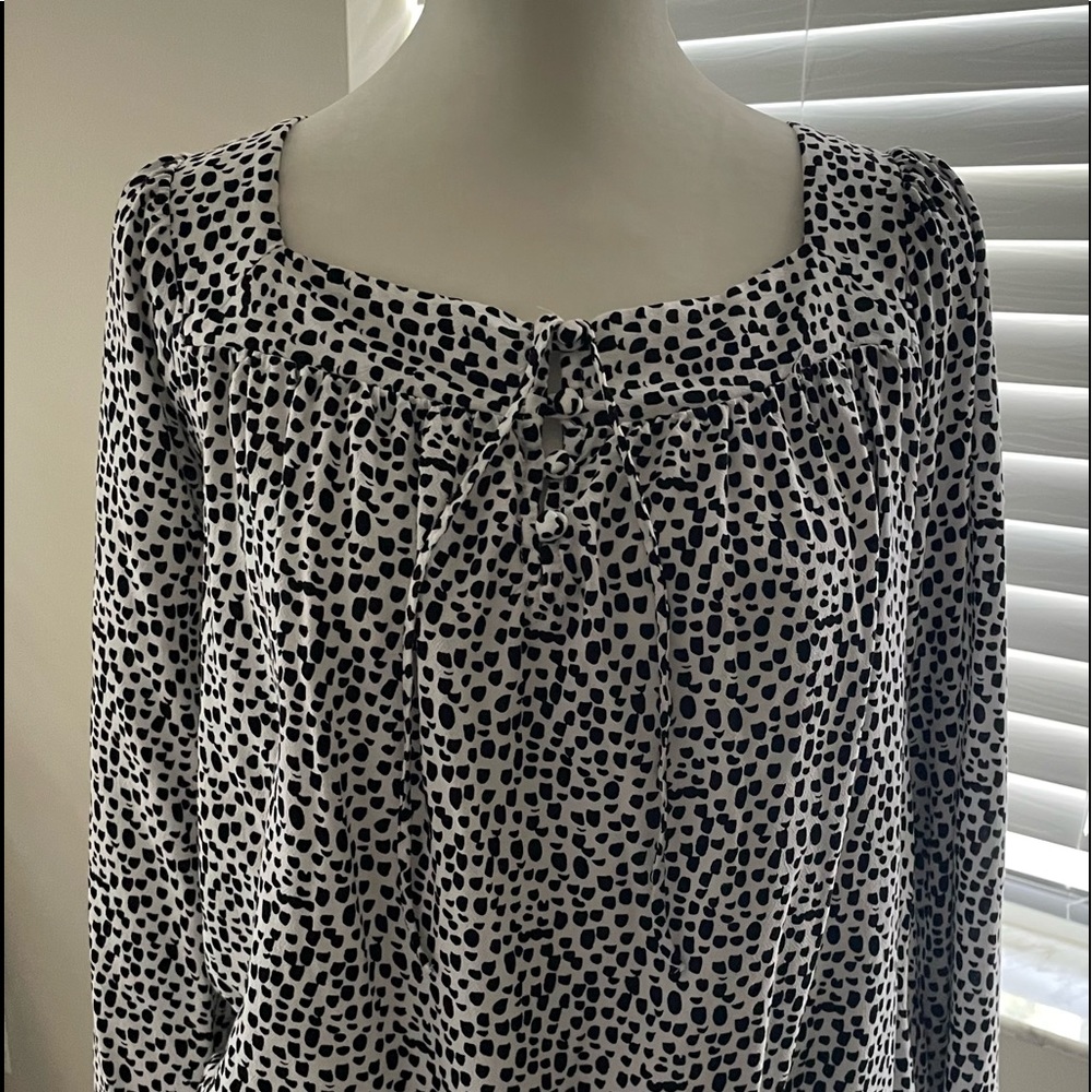 Ladies Express long sleeve blouse